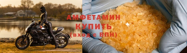 прущие грибы Зеленокумск
