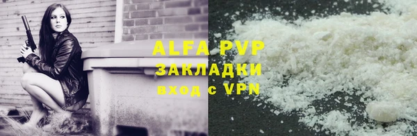 прущие грибы Зеленокумск