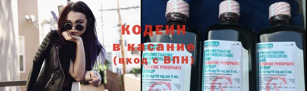 прущие грибы Зеленокумск