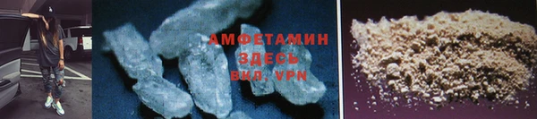 прущие грибы Зеленокумск