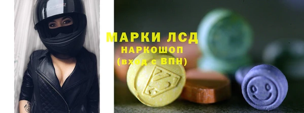 прущие грибы Зеленокумск