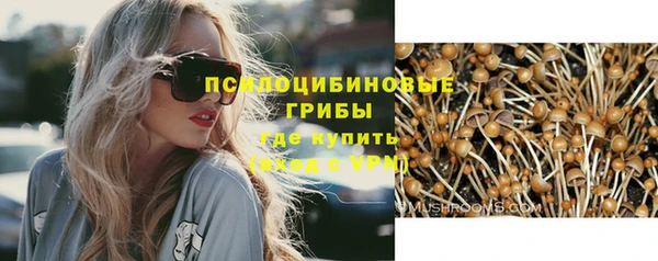 прущие грибы Зеленокумск