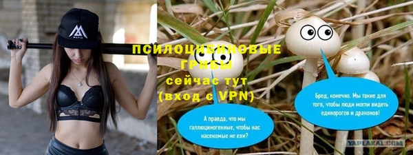 прущие грибы Зеленокумск