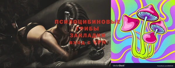 прущие грибы Зеленокумск